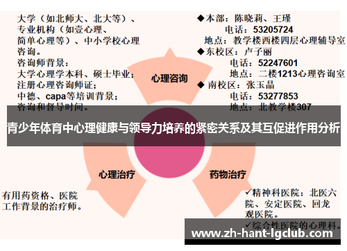 青少年体育中心理健康与领导力培养的紧密关系及其互促进作用分析 青少年体育中心理健康与领导力培养的紧密关系及其互促进作用分析