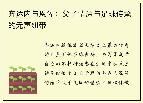 齐达内与恩佐：父子情深与足球传承的无声纽带