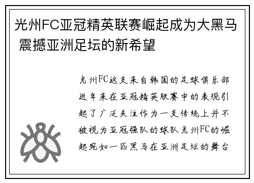 光州FC亚冠精英联赛崛起成为大黑马 震撼亚洲足坛的新希望